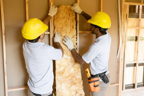 Best Attic Insulation Installation  in Basehor, KS